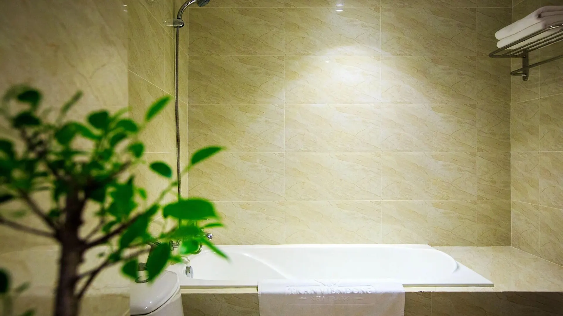 Vien Dong Hotel Nha Trang